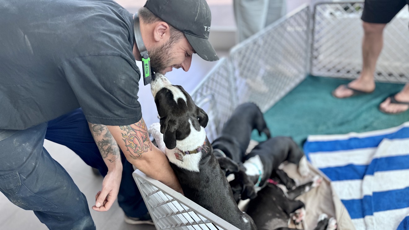 Tesla Hosts Renegade Paws Dog Adoption Event