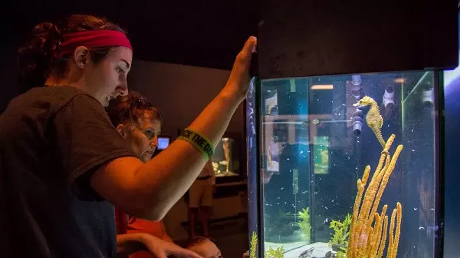 Image: The joy of discovery at the UGA Aquarium
