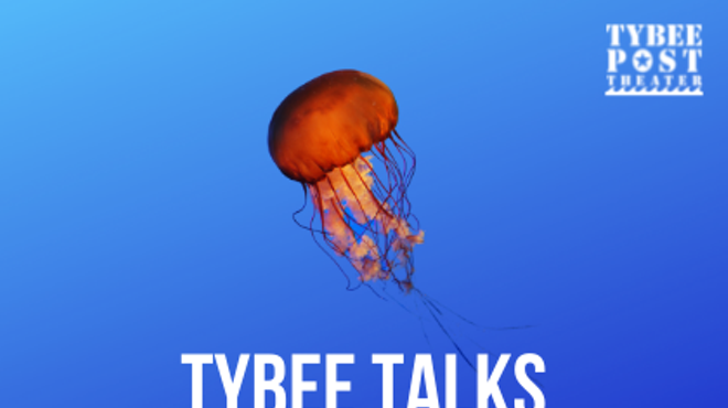Image: Tybee Talks: Why Are Marine Biologists Fascinated By Tybee?