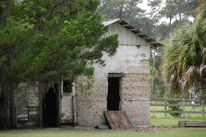 Ossabaw Island to host &lsquo;wild&rsquo; New Year&rsquo;s Eve celebration
