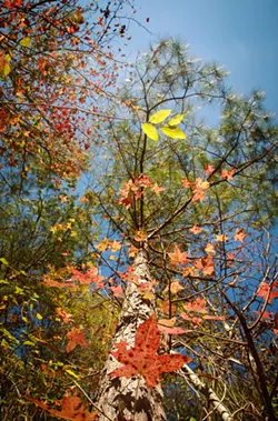 Ogeechee Riverkeeper launches inaugural photo contest to raise awareness of regional watershed