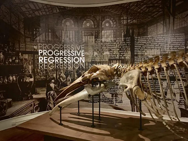 A new exhibit at Savannah&rsquo;s Telfair Academy examines outdated origins of museums
