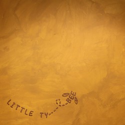 Little Tybee: A Primer
