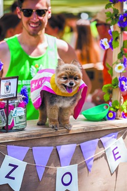 Humane Society’s annual carnival brings out the party animal in all of us