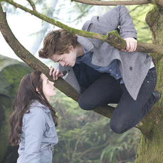Image: Valentine's Day Party: Twilight