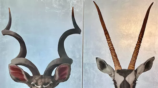 Image: "Wild Reflections" Exhibit by Railey Cooley