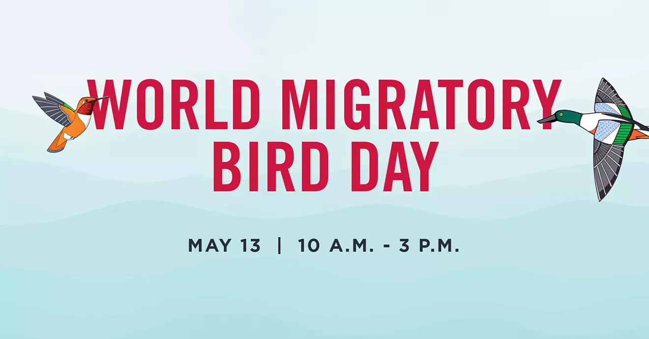migratory-bird-day-fbookcover.webp
