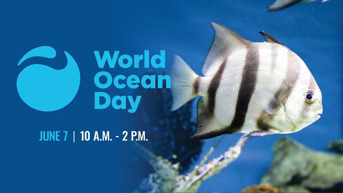 world-ocean-day_4-18-25.png
