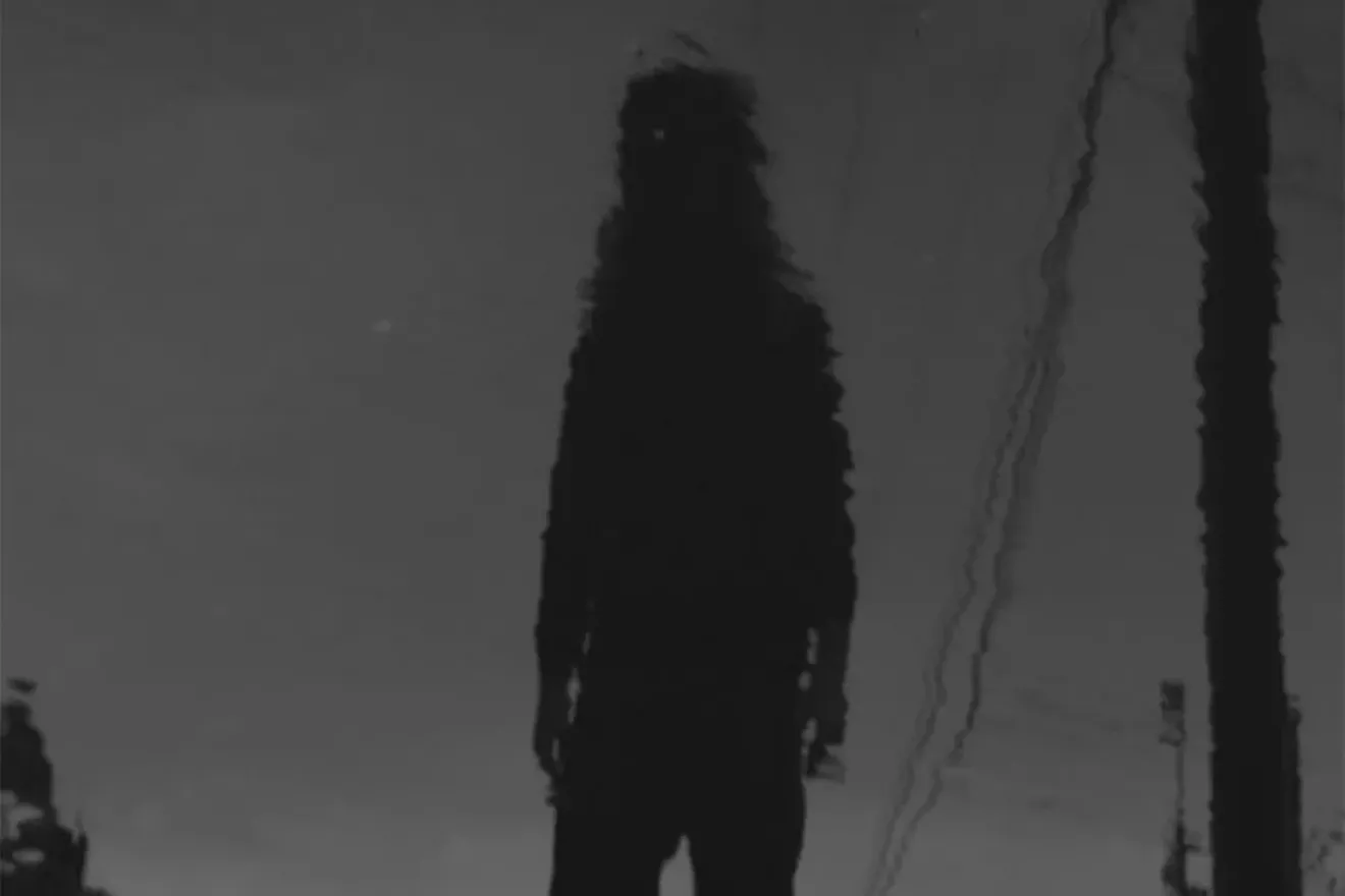 yungpinch-mf-web.webp
